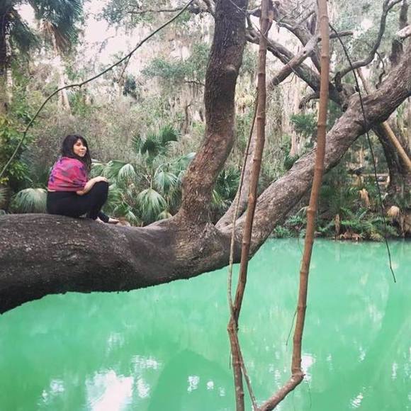 Meet your Posher, Cassis - Picture 1 of 1